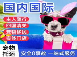 浪头机场快递国际宠物托运 【国